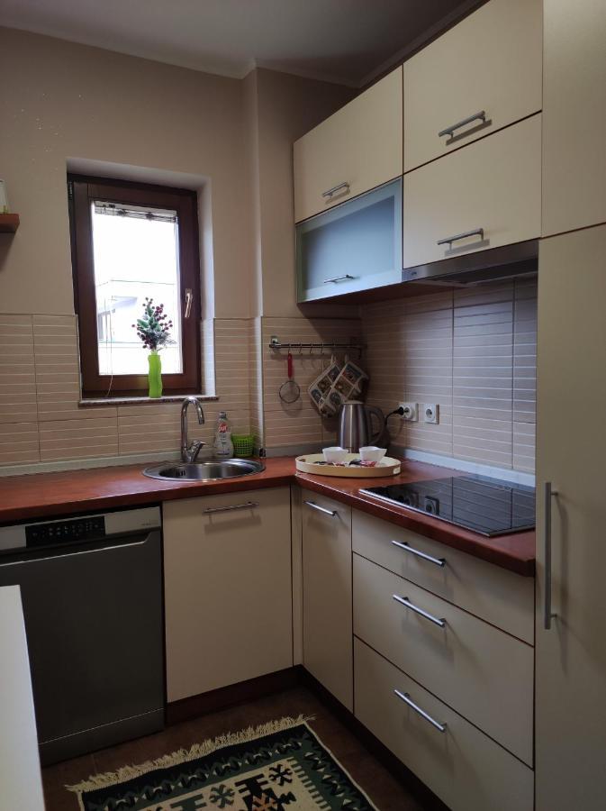 Deluxe Apartment Lejla - Free Garage Parking 사라예보 외부 사진